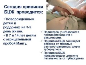 Как называется прививка от туберкулеза