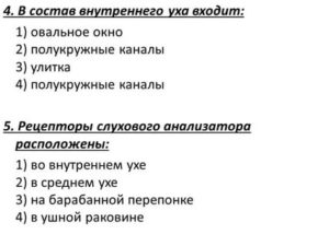 В состав внутреннего уха входят