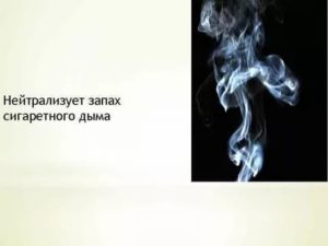 Преследует запах сигаретного дыма причины