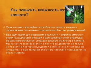 Как увеличить влажность воздуха в квартире
