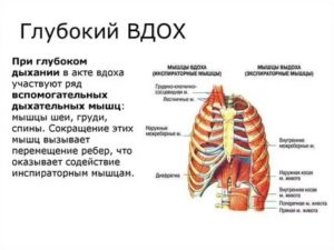 Не могу сделать полный вдох причина