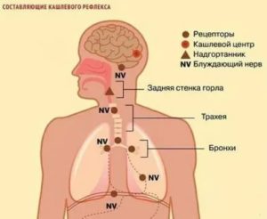 Рефлекторный кашель причины