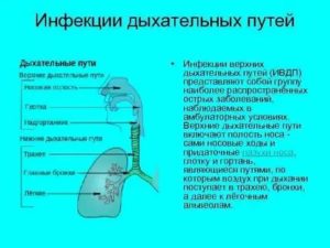 Инфекция верхних дыхательных путей лечение у детей