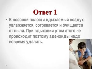 Что происходит с воздухом в носовой полости