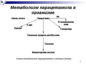 Влияние парацетамола на печень