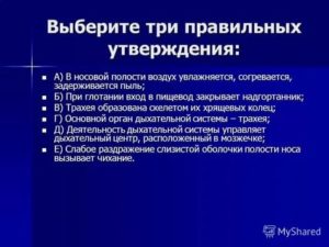 Что происходит с воздухом в носовой полости