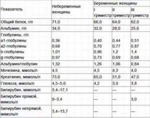 Общий анализ крови при беременности норма таблица