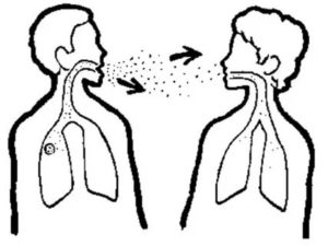 Передается ли астма воздушно капельным путем