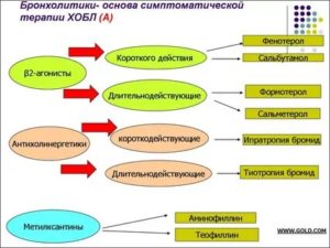 Бронхолитическое действие это