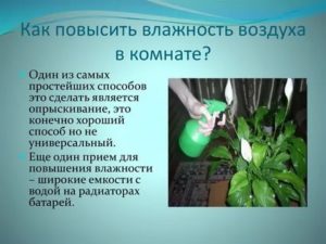 Как увеличить влажность воздуха в квартире