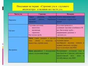 Правила гигиены слуха и их обоснование