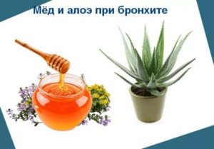 Алоэ при бронхите рецепт