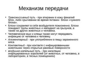 Трансмиссивный путь передачи инфекции это