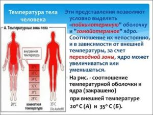 Тело горит изнутри а температуры нет