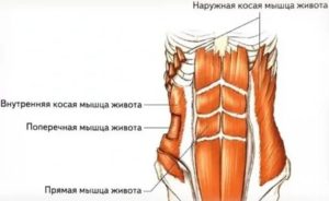 От кашля болят мышцы живота