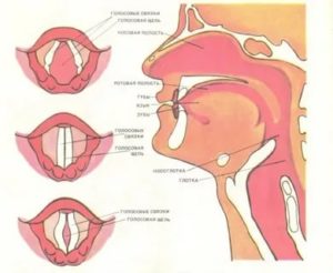 Несмыкание голосовых связок лечение
