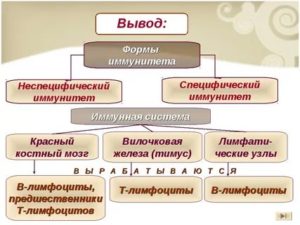 Специфический и неспецифический иммунитет кратко