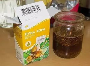 Как приготовить отвар из коры дуба