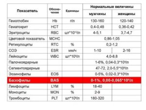 Повышенные сегментоядерные в крови