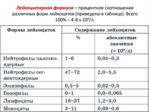 Норма палочек в крови у женщин