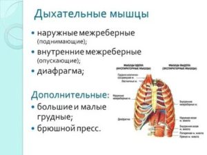 Невозможно сделать полный вдох причины