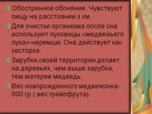 Обострилось обоняние причины