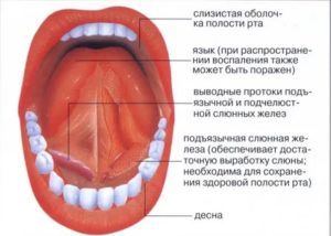 Отек слизистой во рту причины