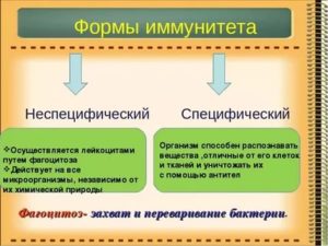 Специфический и неспецифический иммунитет кратко