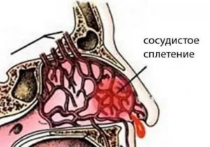 Кровь в носу запекается при беременности
