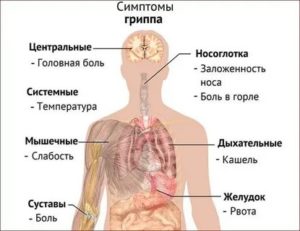 Почему ломит кости при температуре