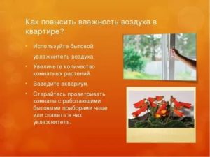Как увеличить влажность воздуха в квартире