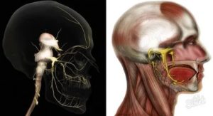 Застужен тройничный нерв симптомы лечение