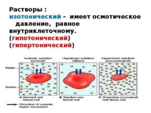 Чем отличается изотонический раствор от гипертонического