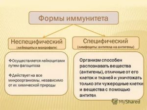 Специфический и неспецифический иммунитет кратко