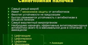 Синегнойная палочка лечение народными средствами