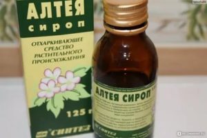 Сироп алтея при сухом кашле