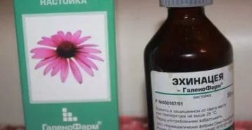 Настойка эхинацеи для иммунитета как принимать детям