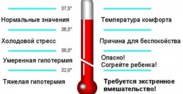 Температура у ребенка то поднимается то опускается