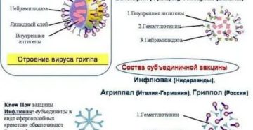 Прививка от гриппа состав