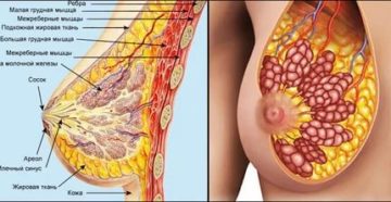 Как йод влияет на молочные железы