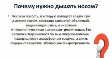 Почему нужно дышать через нос