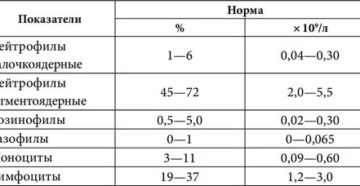 Сегментоядерные нейтрофилы норма у женщин в крови