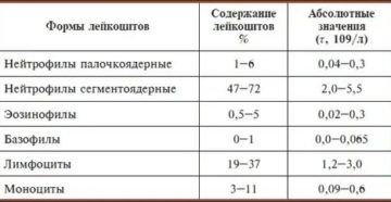 Палочкоядерные нейтрофилы норма у детей