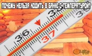 Температура 37 можно ли в баню