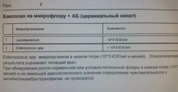 Стафилококк при беременности в бакпосеве