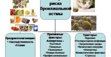 Факторы риска бронхиальной астмы