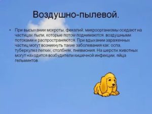 Воздушно пылевой путь передачи