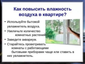 Как увеличить влажность воздуха в квартире