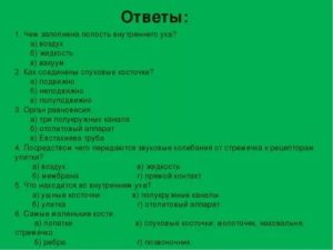 Полость внутреннего уха заполнена жидкостью