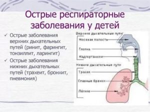 Инфекция верхних дыхательных путей лечение у детей